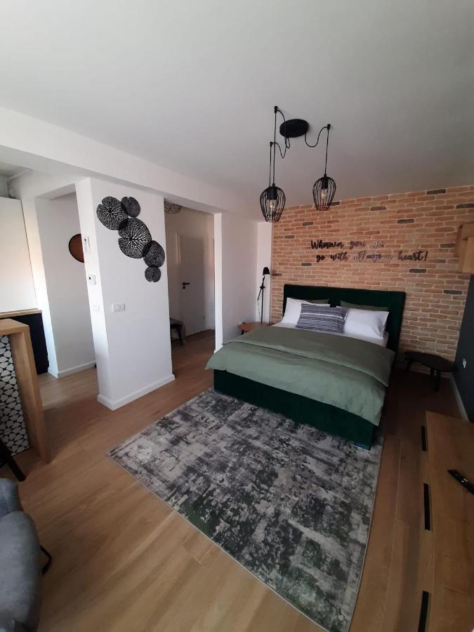 City Center View Studio Apartment 1 ทิมิชัวรา ภายนอก รูปภาพ